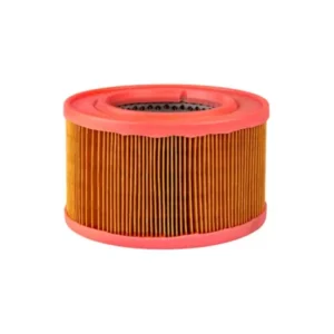 Elemento Filtro Aire 01493000